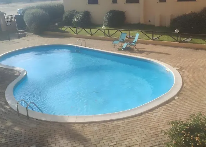 Comfort Mare * 奧爾比亞